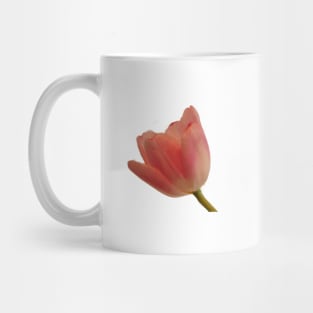 Pretty Romance - Pink Tulip Mug